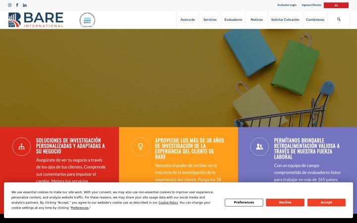 Screenshot of bareinternational.mx