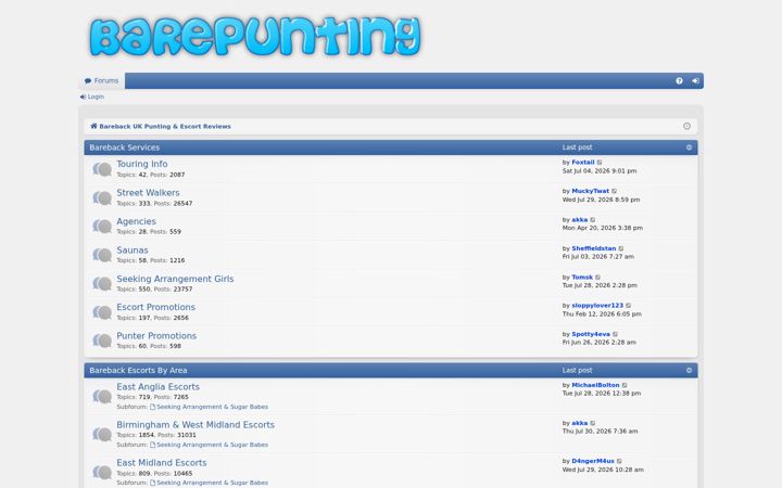 Screenshot van barepunting.net