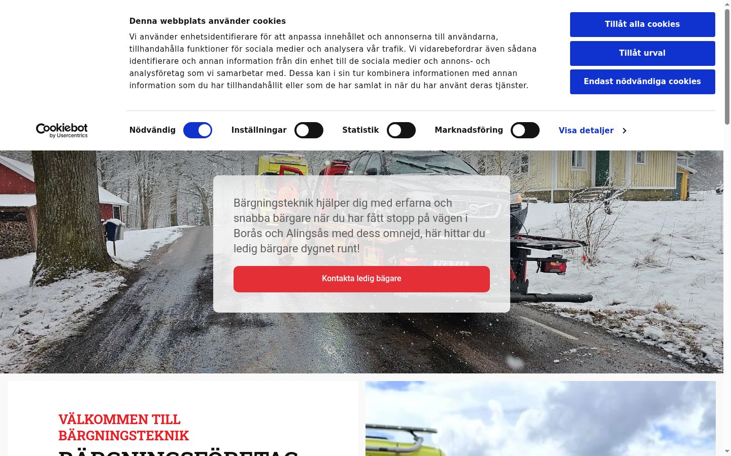 Skærmbillede af samtykkebanneret, som det blev vist før nogen interaktion