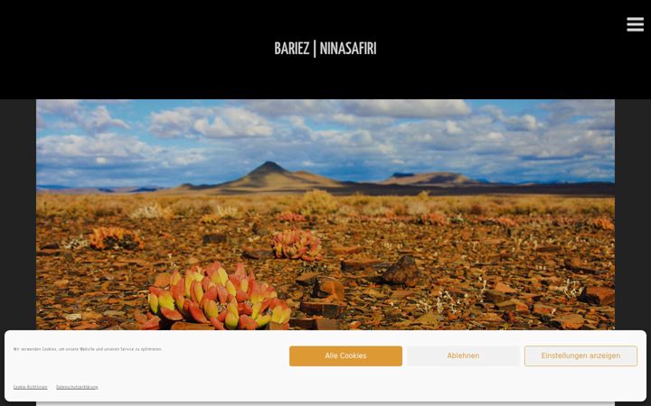 Screenshot of bariez.com