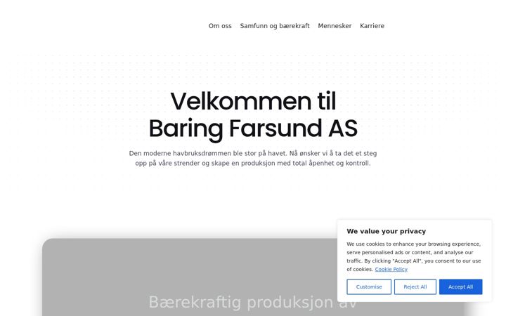 Screenshot of baring.no