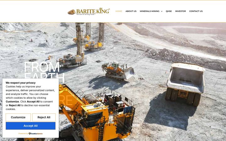 Screenshot of bariteking.com