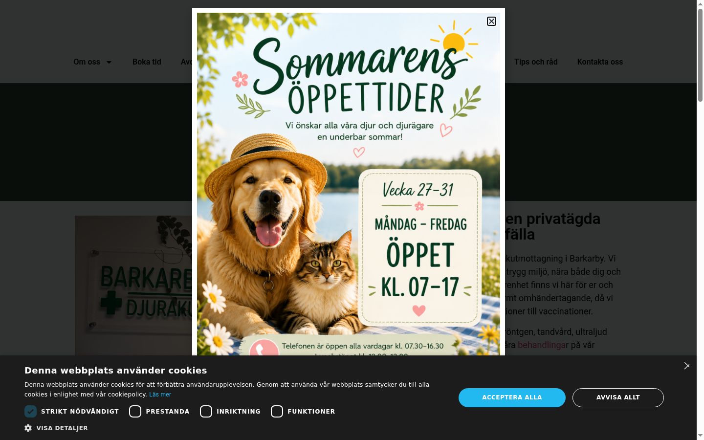 Screenshot des Einwilligungsbanners vor jeglicher Interaktion