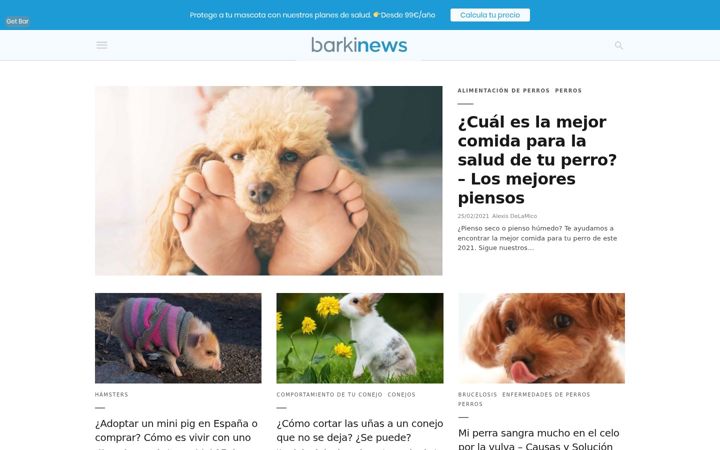 Screenshot of barkinews.com