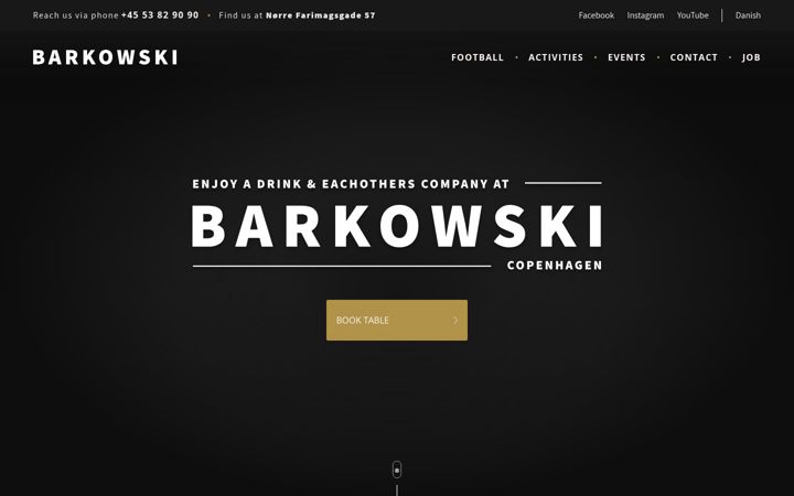 Screenshot of barkowskibar.dk
