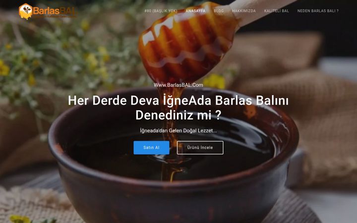 Screenshot of barlasbal.com