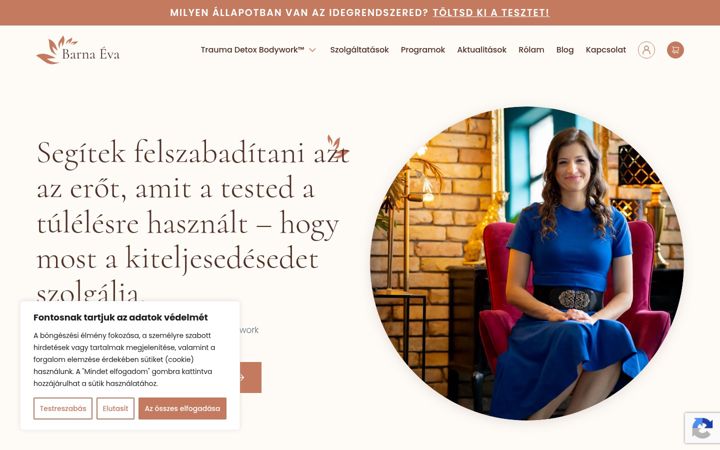 Screenshot of barnaeva.com