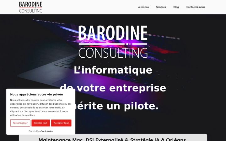 Screenshot ta' barodine-consulting.fr