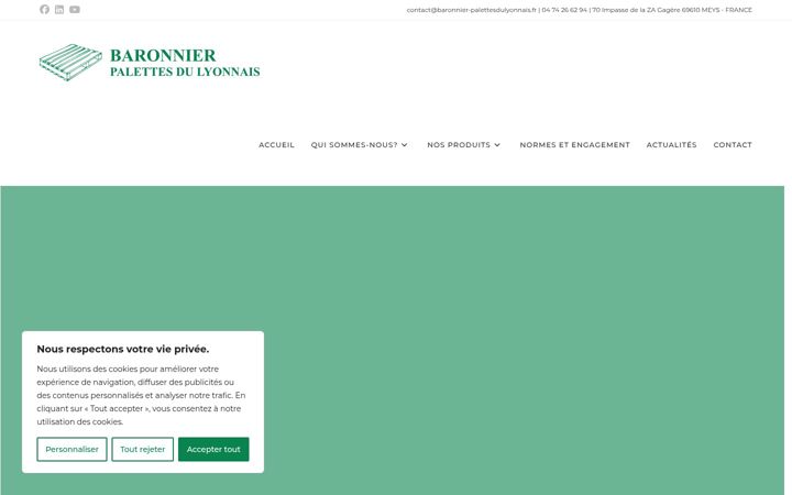 Screenshot of baronnier-palettesdulyonnais.fr