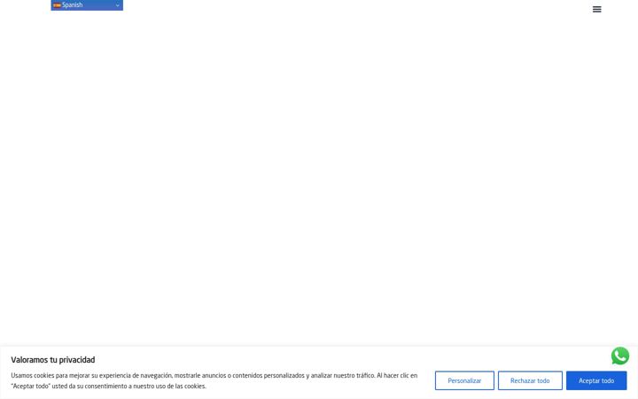 Screenshot of barraca100.es
