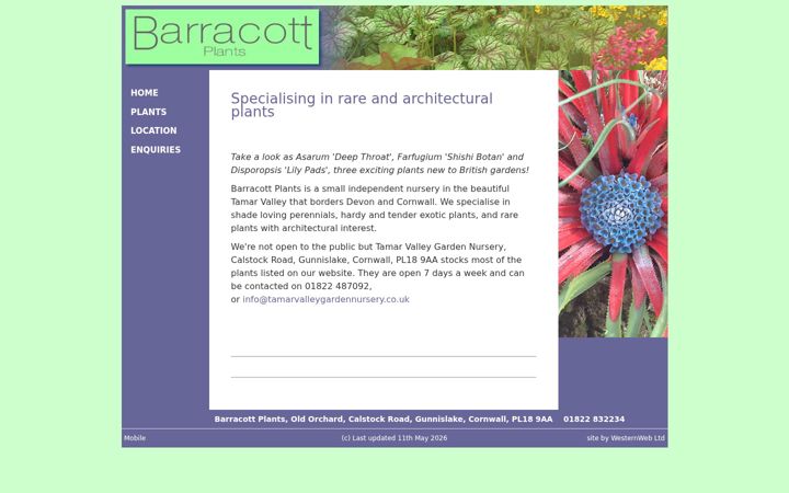 Snimka zaslona za barracottplants.co.uk