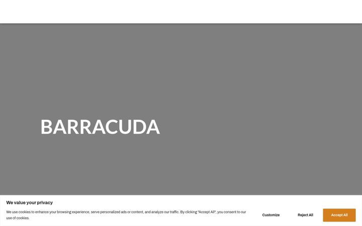 Screenshot of barracudabuceo.com