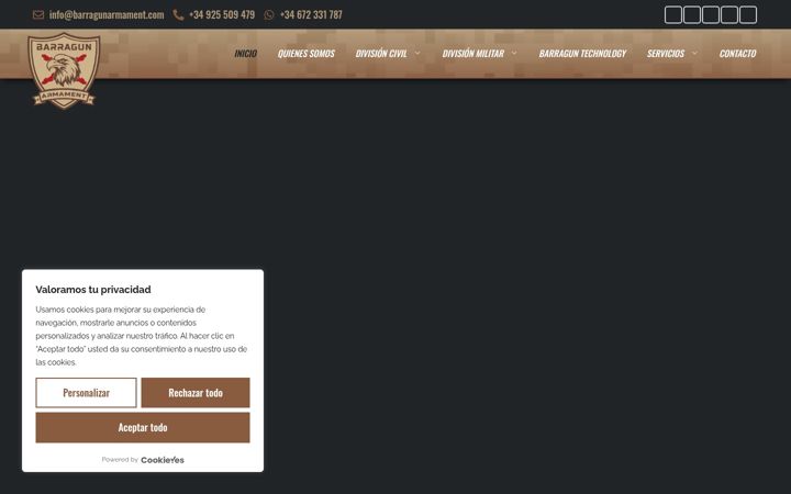 Screenshot of barragunarmament.com