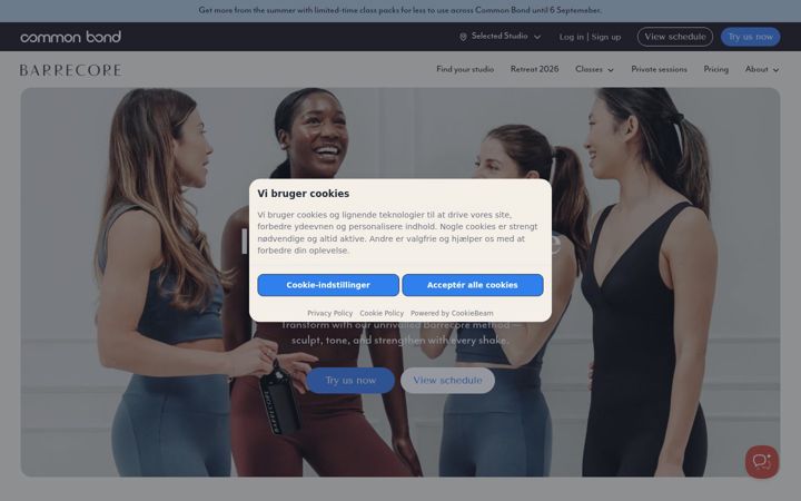 Screenshot of barrecore.com