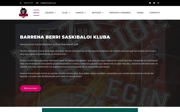 Screenshot of barrenaberri.com