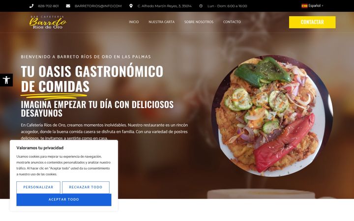Screenshot of barretoriosdeoro.com