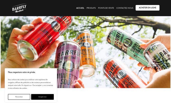 Screenshot of barrfly.ca