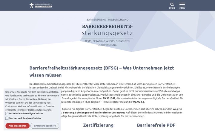 Snímek obrazovky barrierefreiheitsstaerkungsgesetz.de