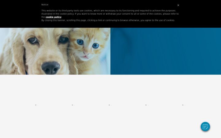 Screenshot of barrmorevets.co.uk