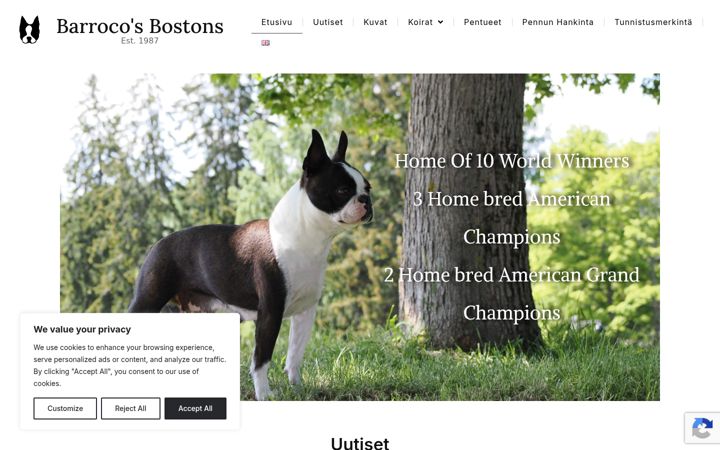 Screenshot di barrocos.net