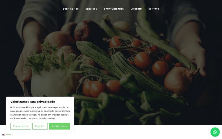 Screenshot of barroero.com.br