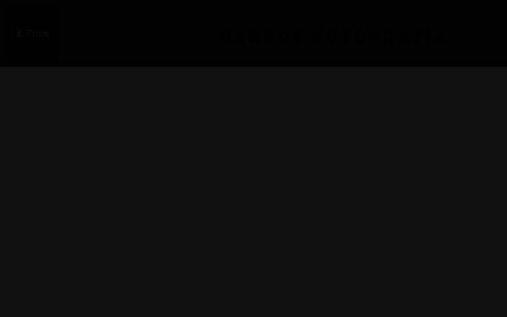 Screenshot of barrosfotografia.cl