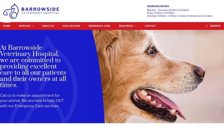 Screenshot of barrowsidevets.com