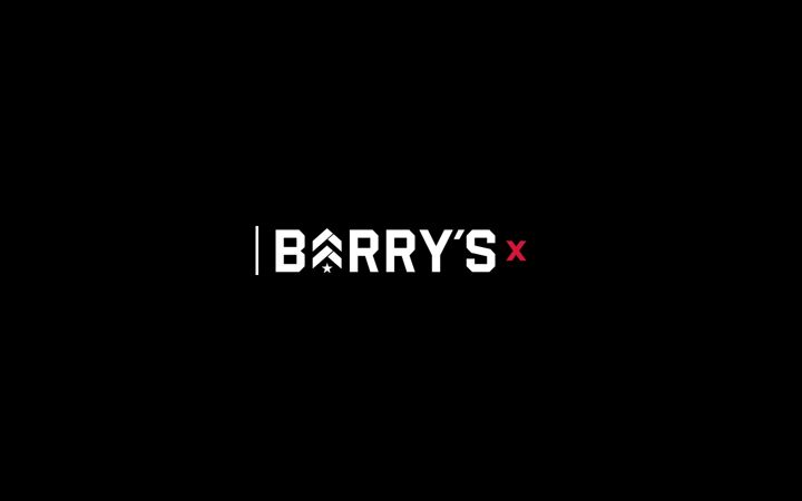 Screenshot of barrysx.com