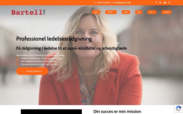 Screenshot von bartell-co.dk