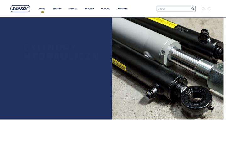Screenshot of bartex.info.pl