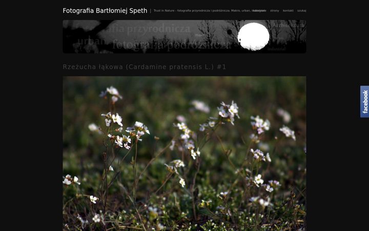 Screenshot of bartlomiejspeth.com