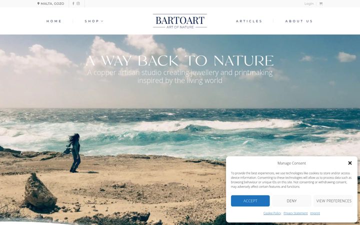 Screenshot of bartoart.com