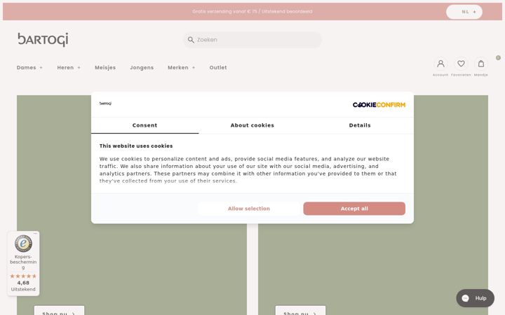 Screenshot stránky bartogi.nl