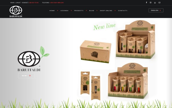 Screenshot of baruffaldi-fratelli.com