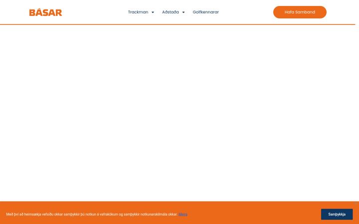 Screenshot of basar.is