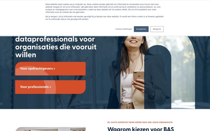 Screenshot of basconsultancy.nl