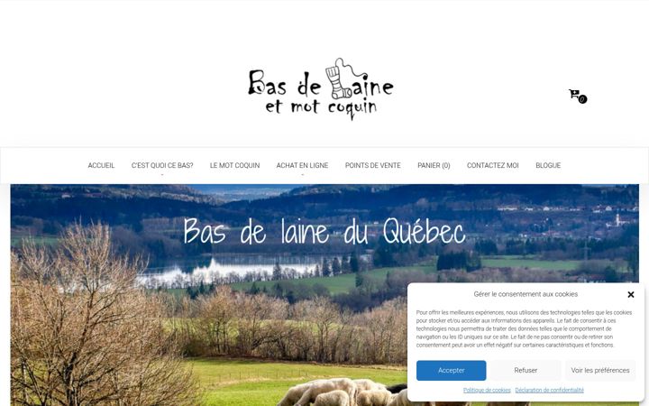 Screenshot of basdelaineetmotcoquin.com
