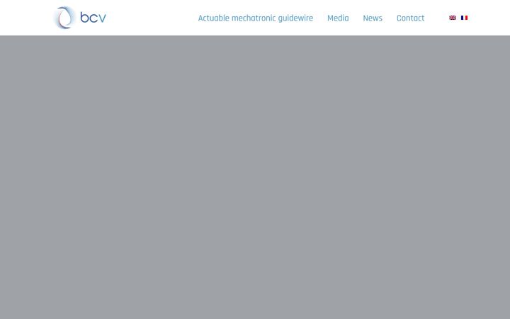 Screenshot of basecampvascular.com