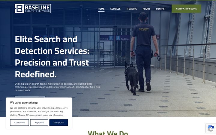 Screenshot of baseline-security.com