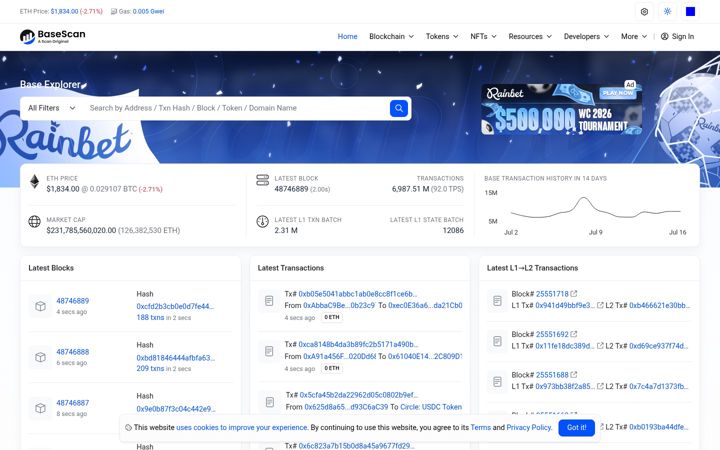 Ekrano kopija basescan.org