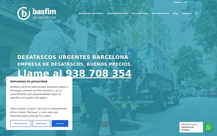 Screenshot of basfim.com
