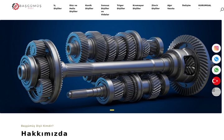 Ekrano kopija basgumusdisli.com.tr