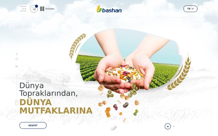 Ekrano kopija bashan.com.tr