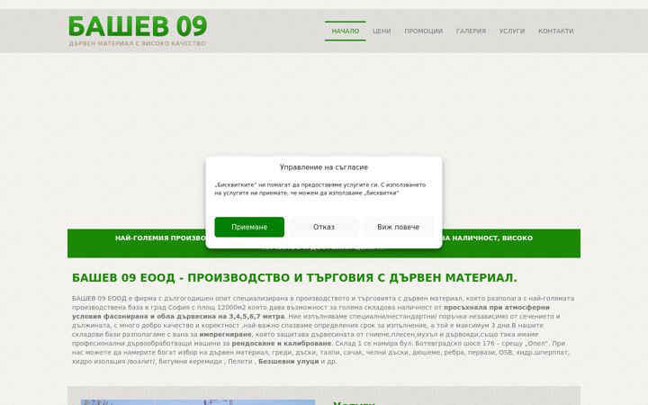 Screenshot of bashev09.com