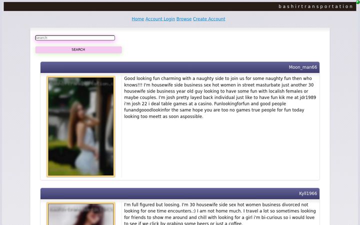 Screenshot of bashirtransportation.com
