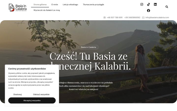 Screenshot of basiaincalabria.com