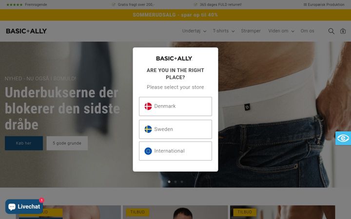 Screenshot of basicandally.com