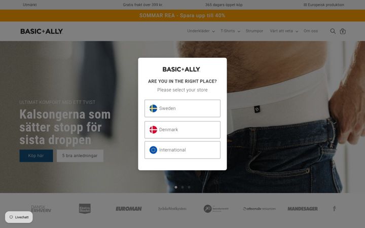 Screenshot of basicandally.se