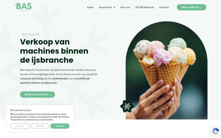 Zrzut ekranu basijsprofi.nl