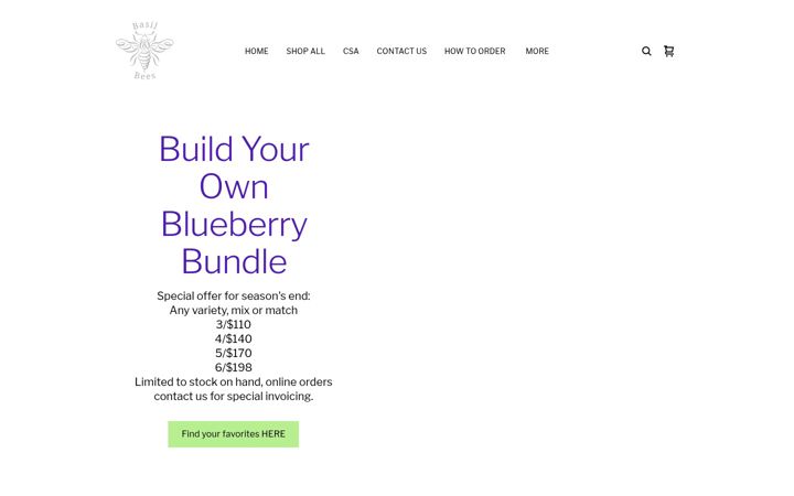 Screenshot of basilandbees.square.site